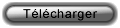 T&eacute;l&eacute;charger le cv au format Word (.doc)